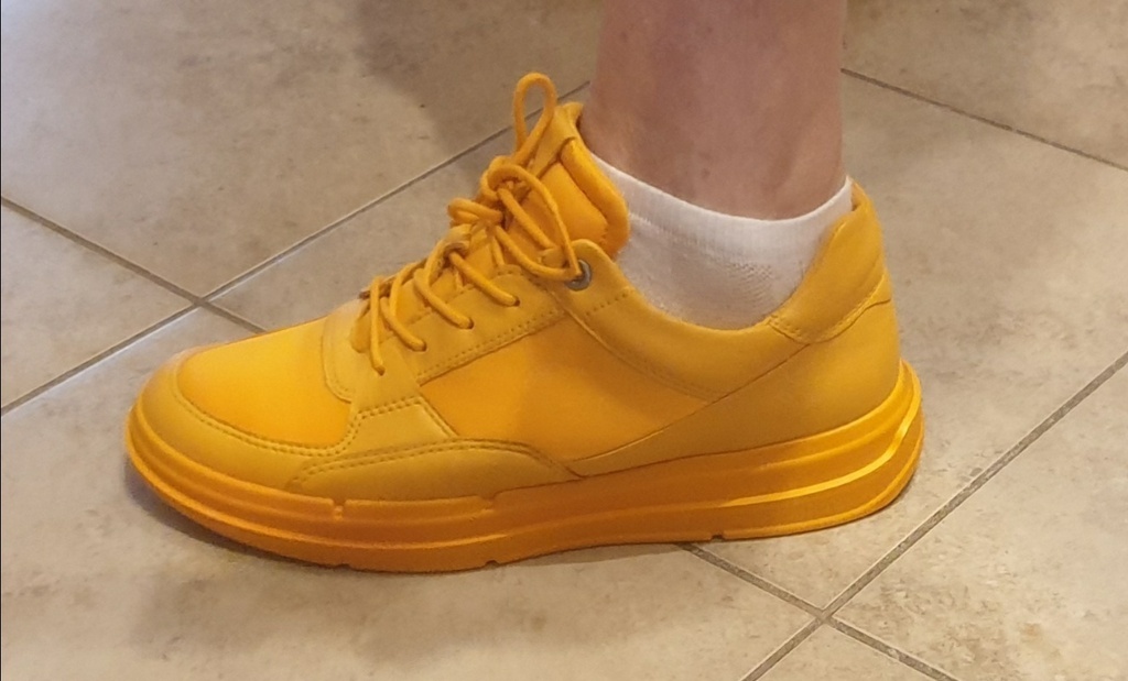 ECCO SOFT X W