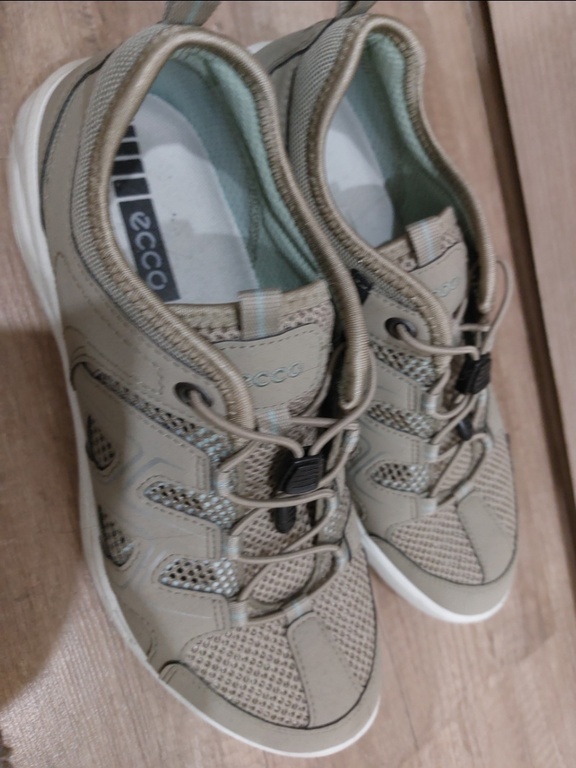 ECCO TERRACRUISE LT W