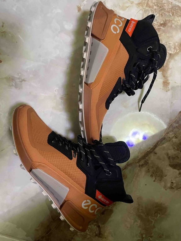 ECCO BIOM 2.1 X MOUNTAIN W