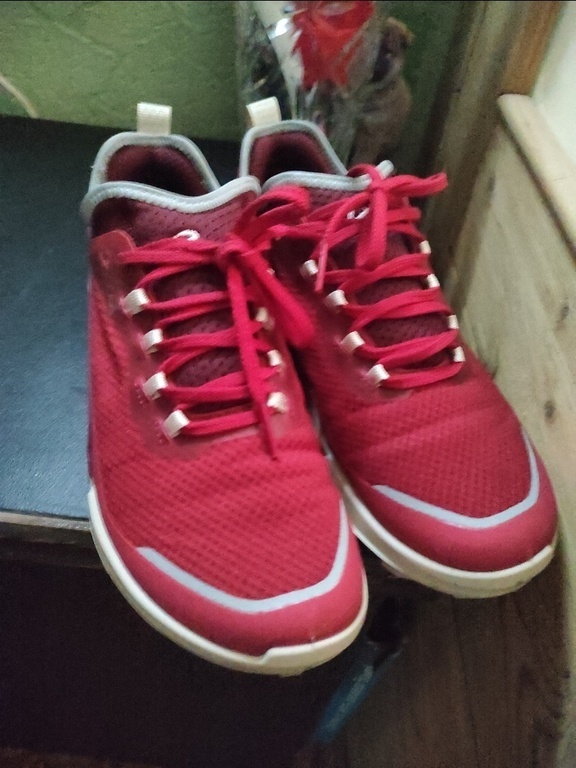 ECCO BIOM 2.1 X COUNTRY W