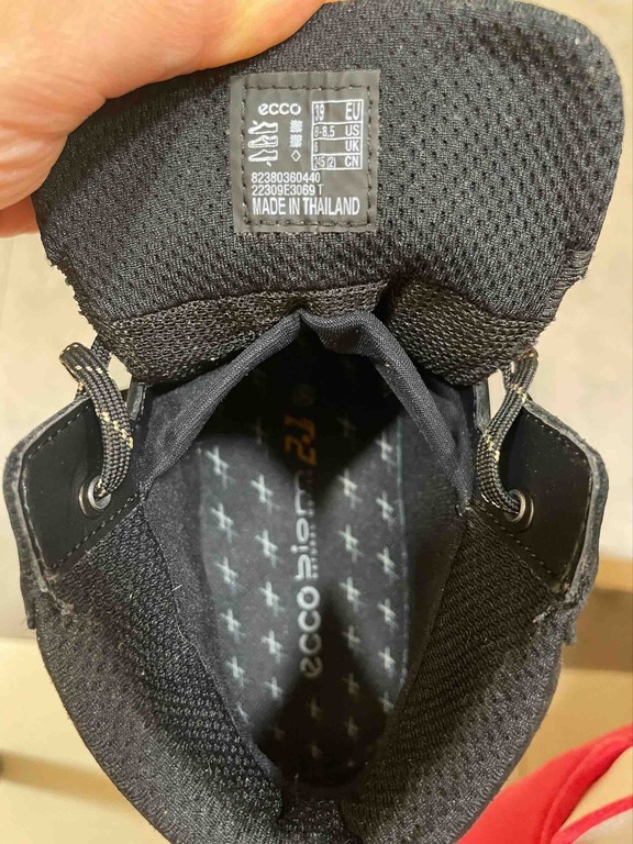 ECCO BIOM 2.1 X MOUNTAIN W