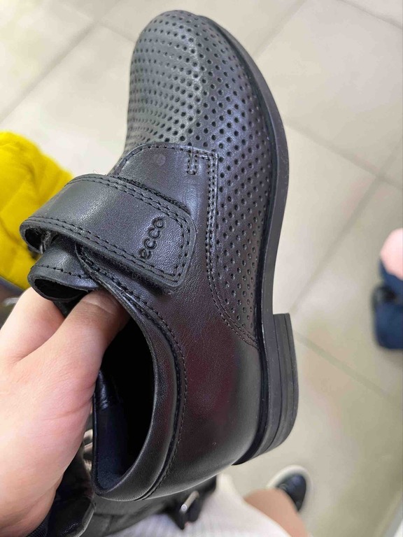 ECCO SCHOLAR