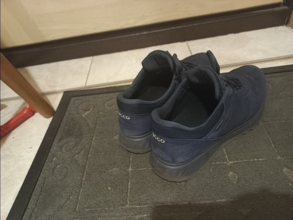 ECCO EXOSTRIDE M
