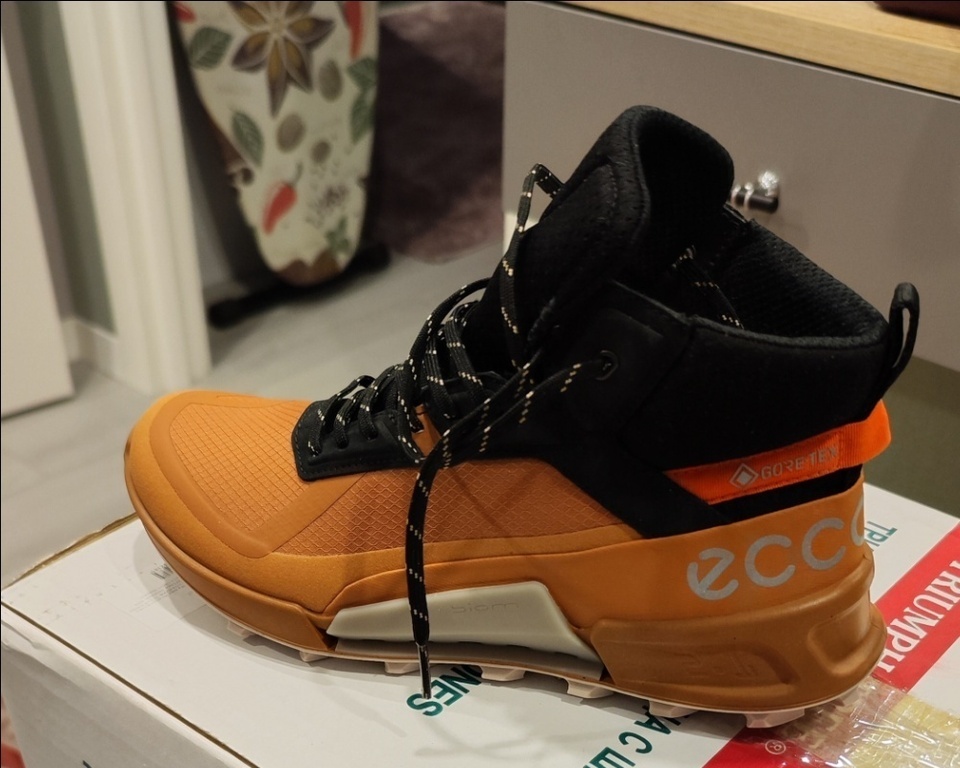 ECCO BIOM 2.1 X MOUNTAIN W