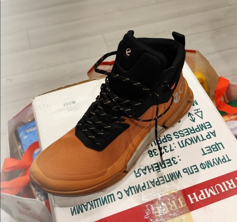 ECCO BIOM 2.1 X MOUNTAIN W